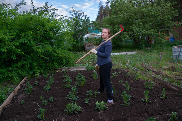 a woman hoeing potatoes.gardening and harvesting