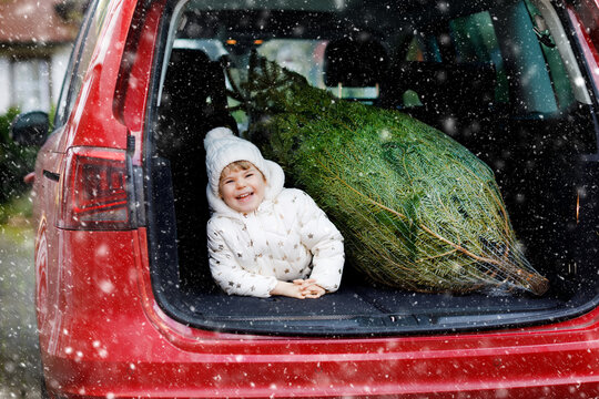 Adorable Little Toddler Girl With Christmas Tree Inside Of Family Car. Happy Healthy Baby Child In Winter Fashion Clothes Choosing And Buying Big Xmas Tree For Traditional Celebration.