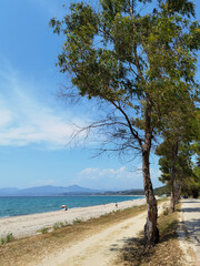 Fototapeta na wymiar mitikas beach tourist resort sea trees summer in preveza perfecture greece