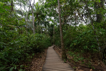 Park Narodowy Tayrona na karaibskikm wybrzeżu Kolumnii © Miroslaw