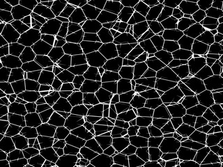 Black and white cracked texture