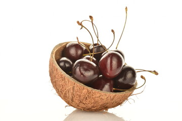 Several ripe organic cherries in a coconut shell, close-up, isolated on white.