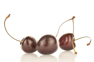Three ripe organic cherries, close-up, isolated on white.