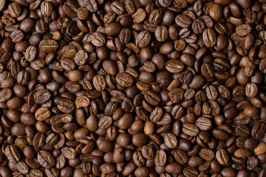 This is a picture of coffee beans. taken in dark tones