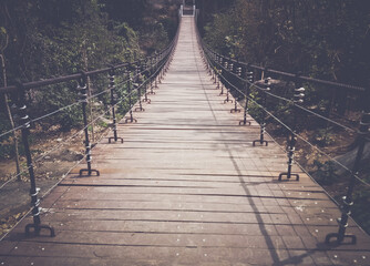 Fototapeta premium wooden bridge in the forest