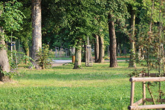 park, garden