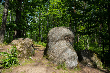 Big stones boulders in a fabulous summer forest, stone village in Ukraine