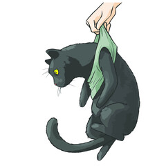 Black Cat funny illustration - 440988082
