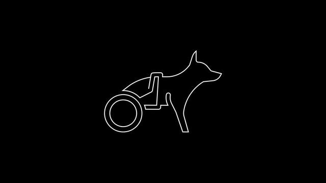 White line Paralyzed dog in wheelchair icon isolated on black background. 4K Video motion graphic animation