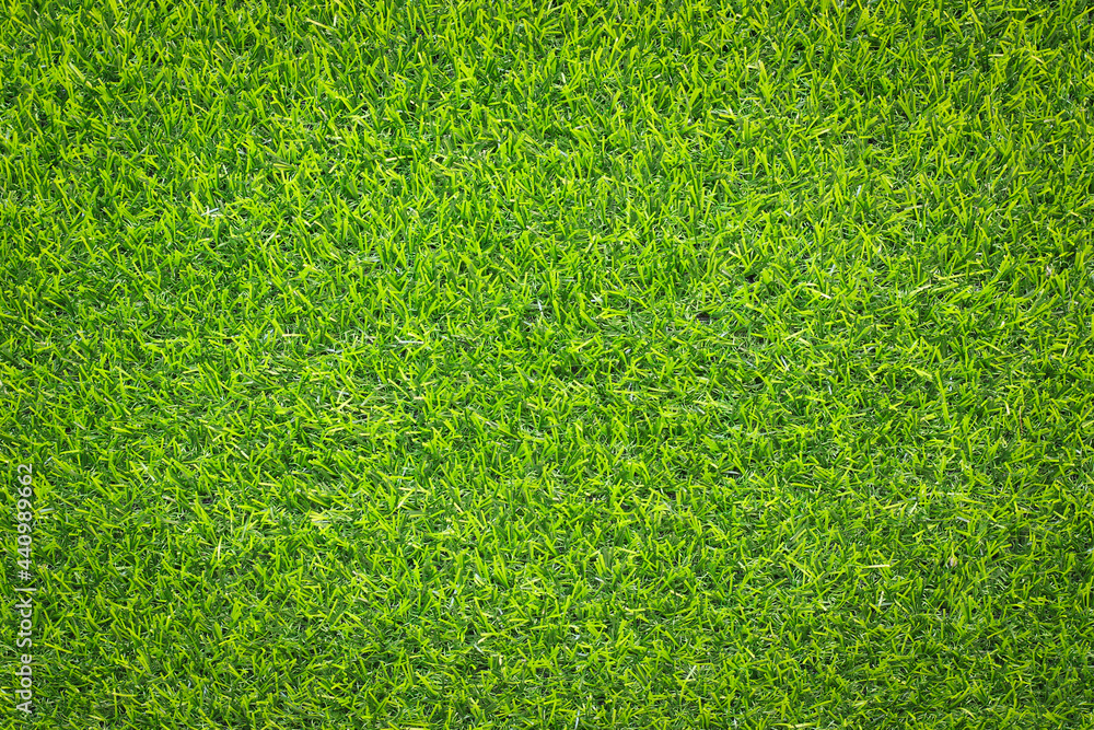 Canvas Prints top view green grass texture for background