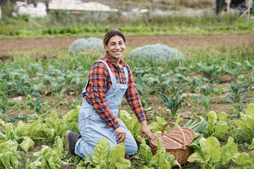 Gardening mature latin woman with vegetable basket inside agriculture farm - Harvest period