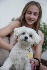 Cute friendship portrait of smiling happy teenage girl in background with small white dog in foreground 