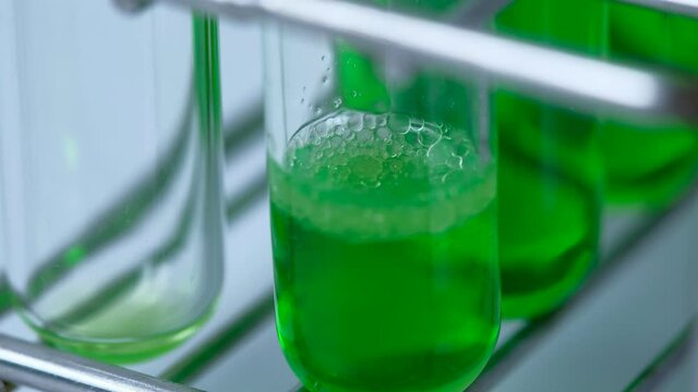 Scientist is preparation and dropping the green chemical solution in test tube in the laboratory experiment. Chemical and natural oil extracted concept. marijuana, Kratom, Andrographis paniculata