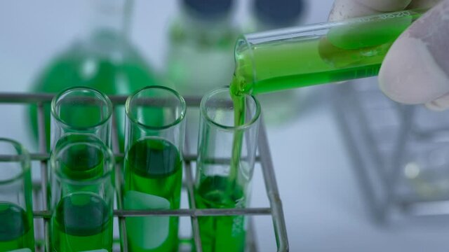 Scientist is preparation and dropping the green chemical solution in test tube in the laboratory experiment. Chemical and natural oil extracted concept. marijuana, Kratom, Andrographis paniculata