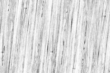 grey oak wood pattern texture