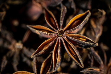 Star anise