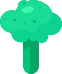 Broccoli organic healthy vegetable food vector