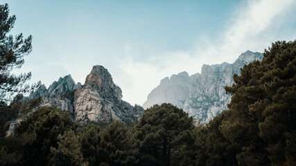 Photo of the mountain in Corsica with the forest in the foreground