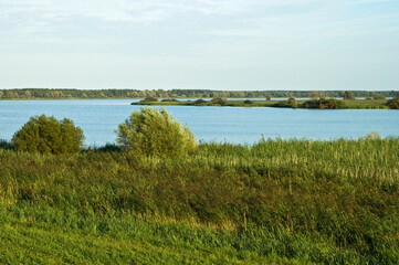 Oostvaardersplassen Flevopolder, Nederland / Netherlands
