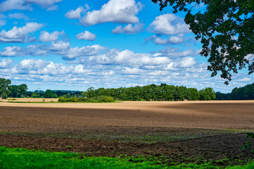 Obraz premium View over the landscape of Mecklenburg-Western Pomerania, Germany, in the vicinity of Greifswald.