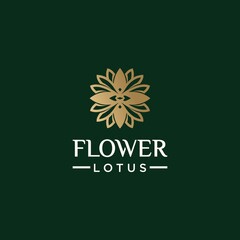 Collection of nature flower logo designs golden floral logo outline