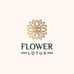 Collection of nature flower logo designs golden floral logo outline