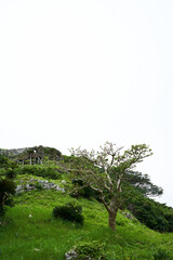 沖縄県南城市の観光名所 沖縄のお城 玉城グスク