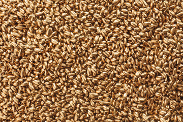 Golden wheat grains as background, closeup