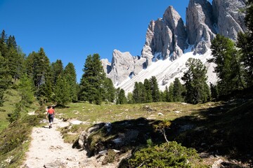 Fototapeta na wymiar Auf dem Adolf Munkel Wanderweg unter den Geislerspitzen unterwegs- Dieser leicht zu begehende Wanderweg hoch über dem Villnösser Tal ist einer der schönsten Wanderwege in den Dolomiten