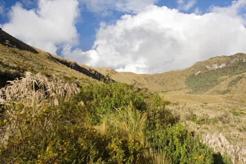 Foto auf Leinwand Papallacta Pass Ecuador © AGAMI