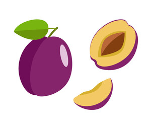 Ripe plum whole in a purple peel, half a plum with a stone and a plum slice. Vector illustration of delicious berries.