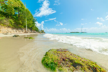 Turquoise water in beautiful La Datcha beach in Guadeloupe
