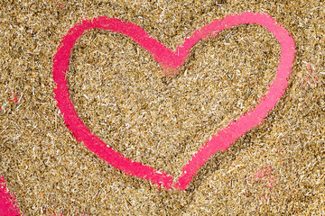 dried chamomile flowers and other plants to treat diseases in folk medicine