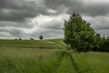 Obraz premium Upper Lusatian low mountain range - spring