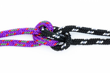 Zeppelin bend knot shot on a white background  © Jackie Matthews 