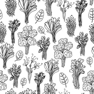 Microgreens hand drawn vector illustration. Seamless pattern. Organic healthy food. Microgreens sprouts. Hand drawn design. Healthy lifestyle. Design for packaging and more. Sketch style background.