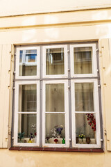 Flowers in the window of a typical town house