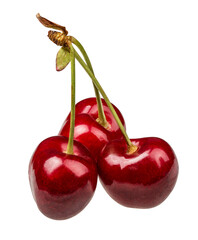 Cherry isolated on white background with clipping path