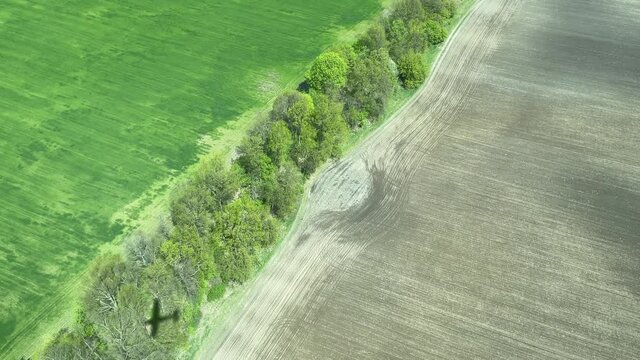 4k Shadow of the plane on a farm field from flying small propeller aircraft