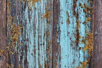 old rusty background