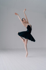 Young beautiful ballerina is posing in studio - 441004697