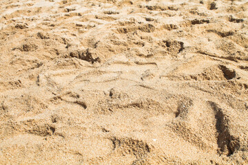 sand background at summer 