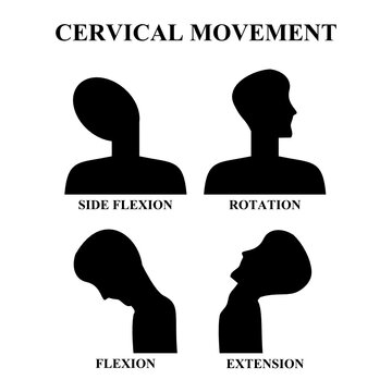 symbols icons. neck side flexion, rotation, flexion and extension. vector illustration