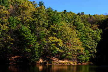 _DSC1608_Pipestem State Park, West Virginia USA