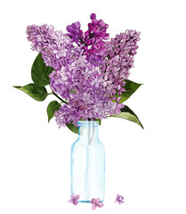 Hand drawn vector lilac bouquet in bottle