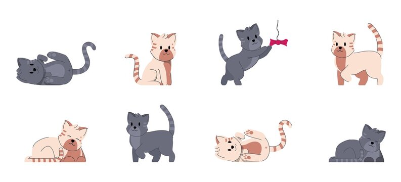 Cat adorable fummy animal. Set of cute kitty small friends. Domestic kitten character vector illustration.