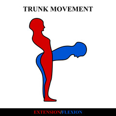 symbol icon. trunk extension and flexion