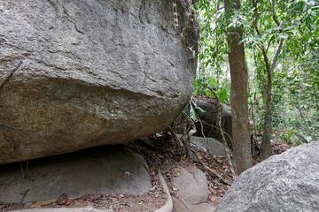 Park Narodowy Tayrona na karaibskikm wybrzeżu Kolumnii © Miroslaw