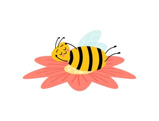 Honey bee cartoon insect character happy fly illustration. Bee Cartoon Mascot Characters Vector Collection. Various cartoon characters of bees with honey.