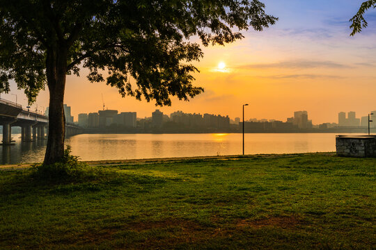 Beautiful Korean summer Seoul scenery. Sunrise and trees at Hangang River Park in Seoul.